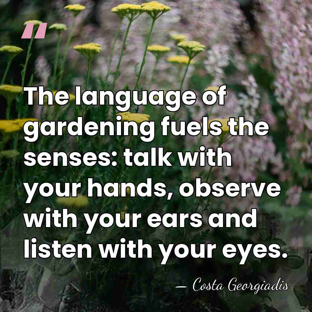 The language of gardening fuels the senses: talk with your hands, observe&hellip; - Costa Georgiadis