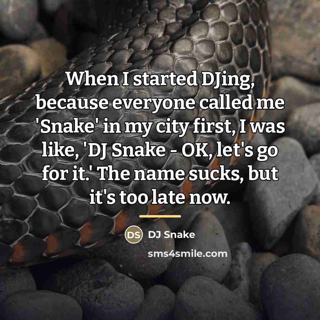 “When I started DJing, because everyone called me 'Snake' in…” quote by DJ Snake