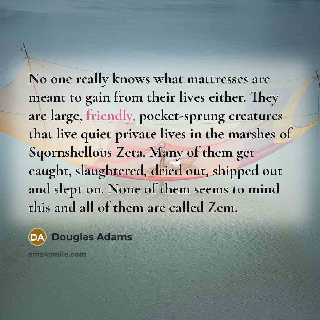 “No one really knows what mattresses are meant to gain…” quote by Douglas Adams
