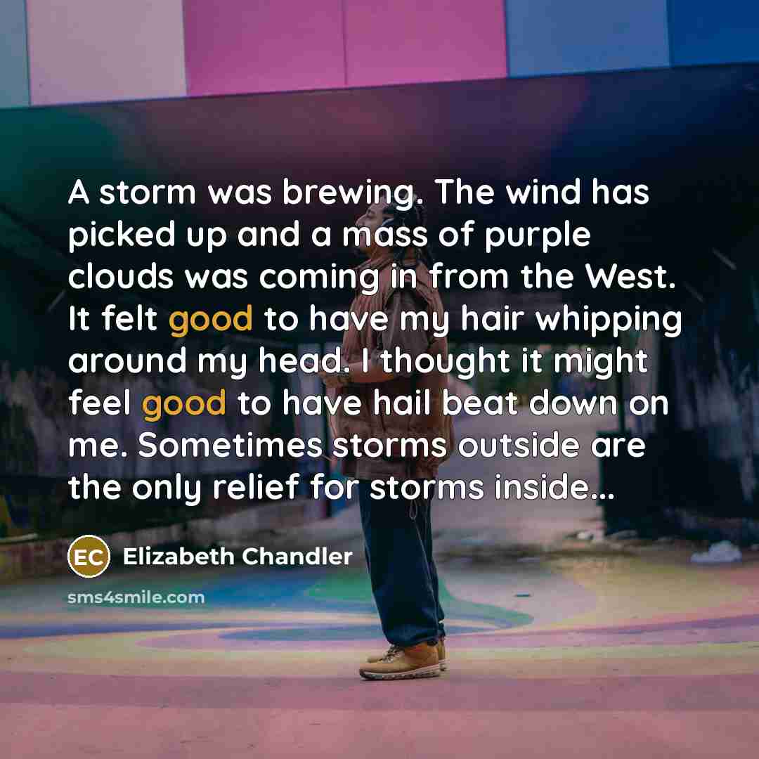 “A storm was brewing. The wind has picked up and…” quote by Elizabeth Chandler