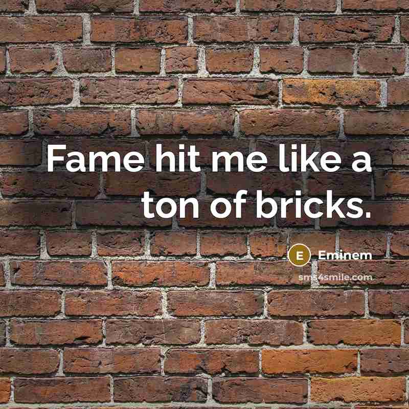 “Fame hit me like a ton of bricks.…” quote by Eminem