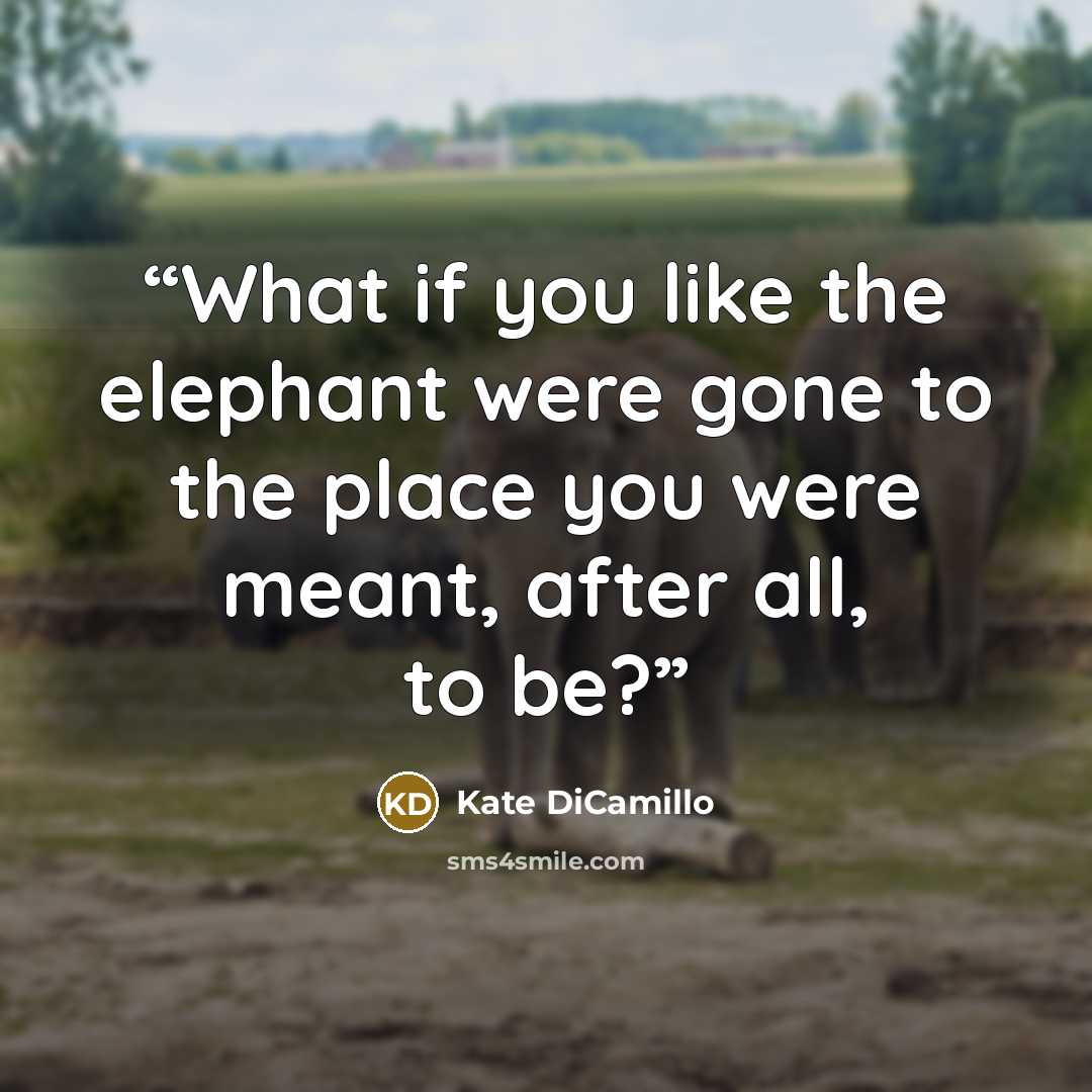 “What if you like the elephant were gone to the place you were meant, after all, to be?” quote by Kate DiCamillo
