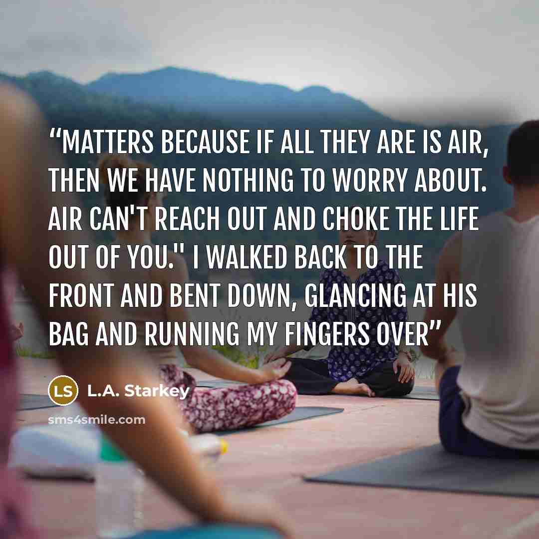 “matters because if all they are is air, then we have nothing to worry about. Air can't reach out and choke the life out of you." I walked back to the front and bent down, glancing at his bag and running my fingers over” quote by L.A. Starkey