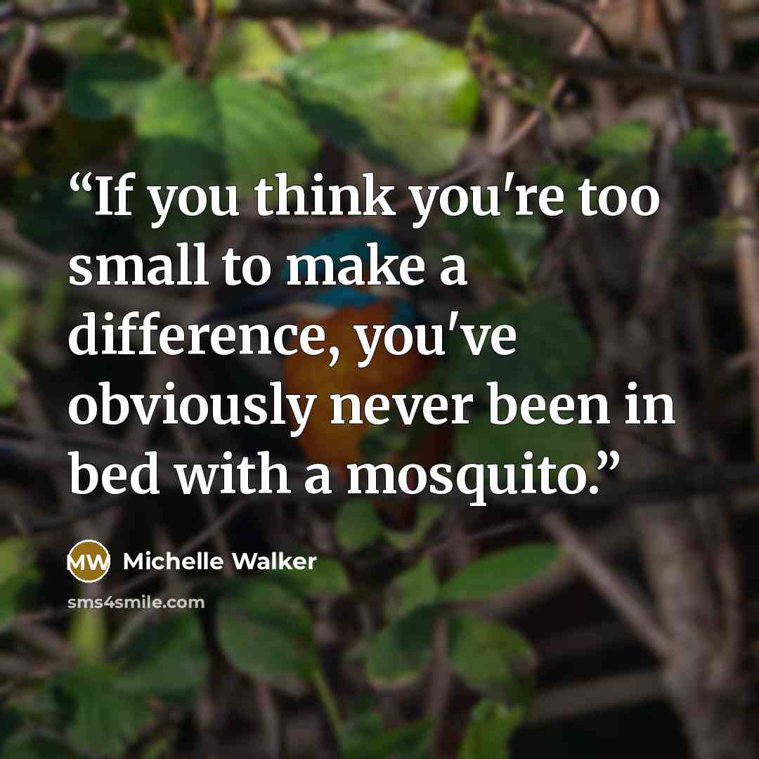 “If you think you're too small to make a difference, you've obviously never been in bed with a mosquito.” quote by Michelle Walker