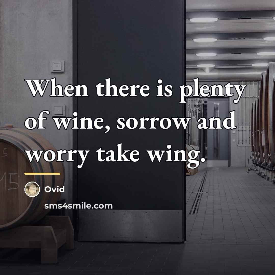 “When there is plenty of wine, sorrow and worry take…” quote by Ovid