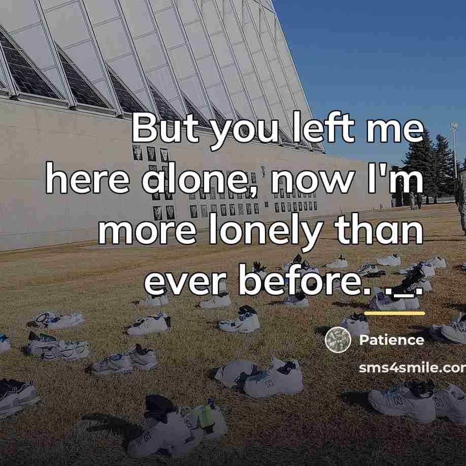 “But you left me here alone, now I'm more lonely…” quote by Patience