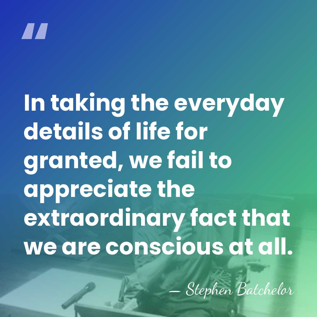 In taking the everyday details of life for granted, we fail to&hellip; - Stephen Batchelor