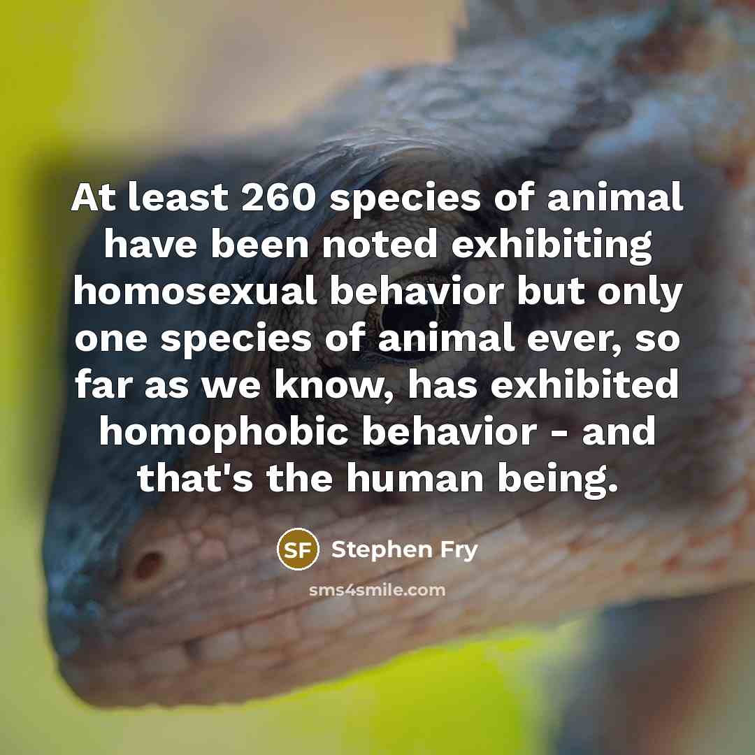 “At least 260 species of animal have been noted exhibiting…” quote by Stephen Fry