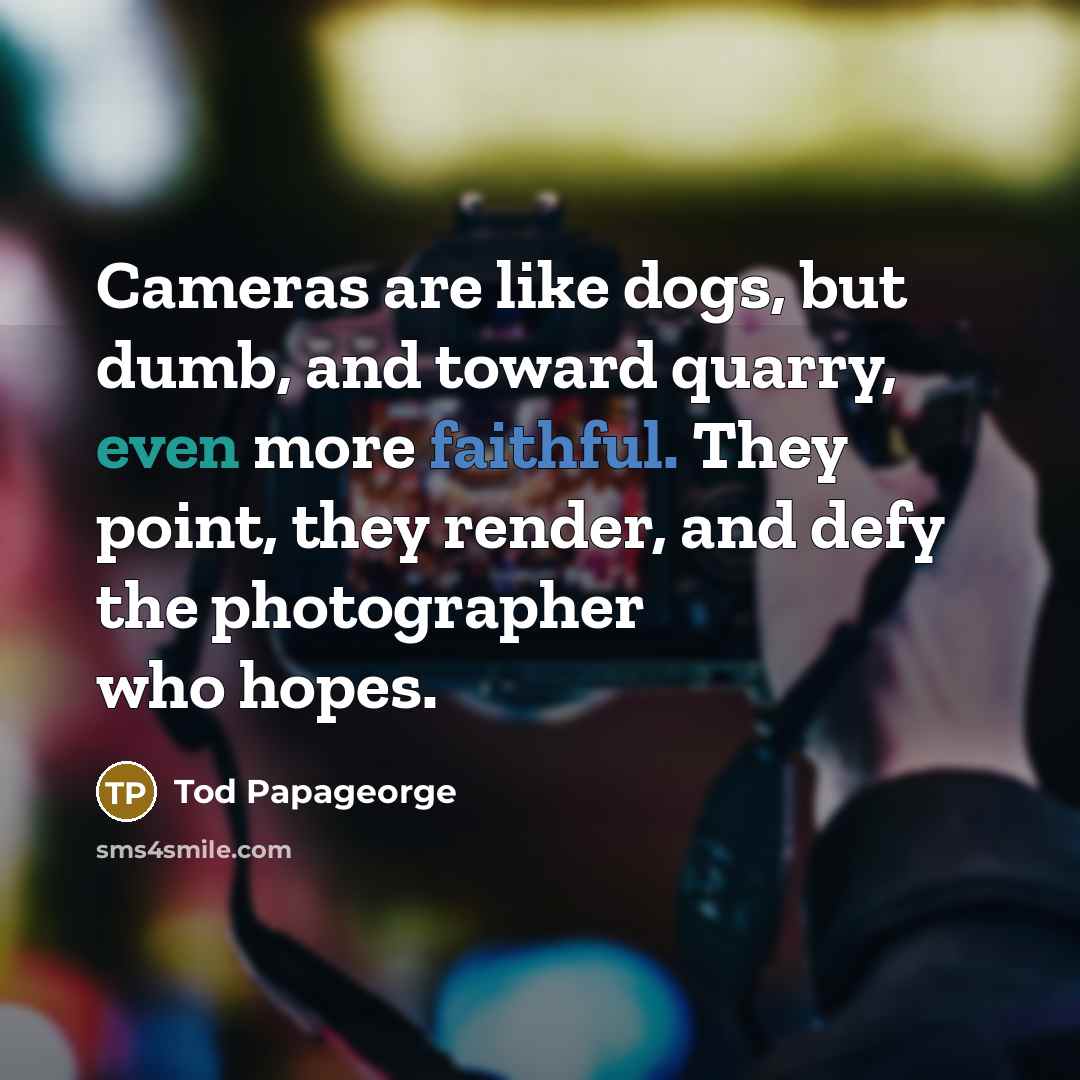 “Cameras are like dogs, but dumb, and toward quarry, even…” quote by Tod Papageorge