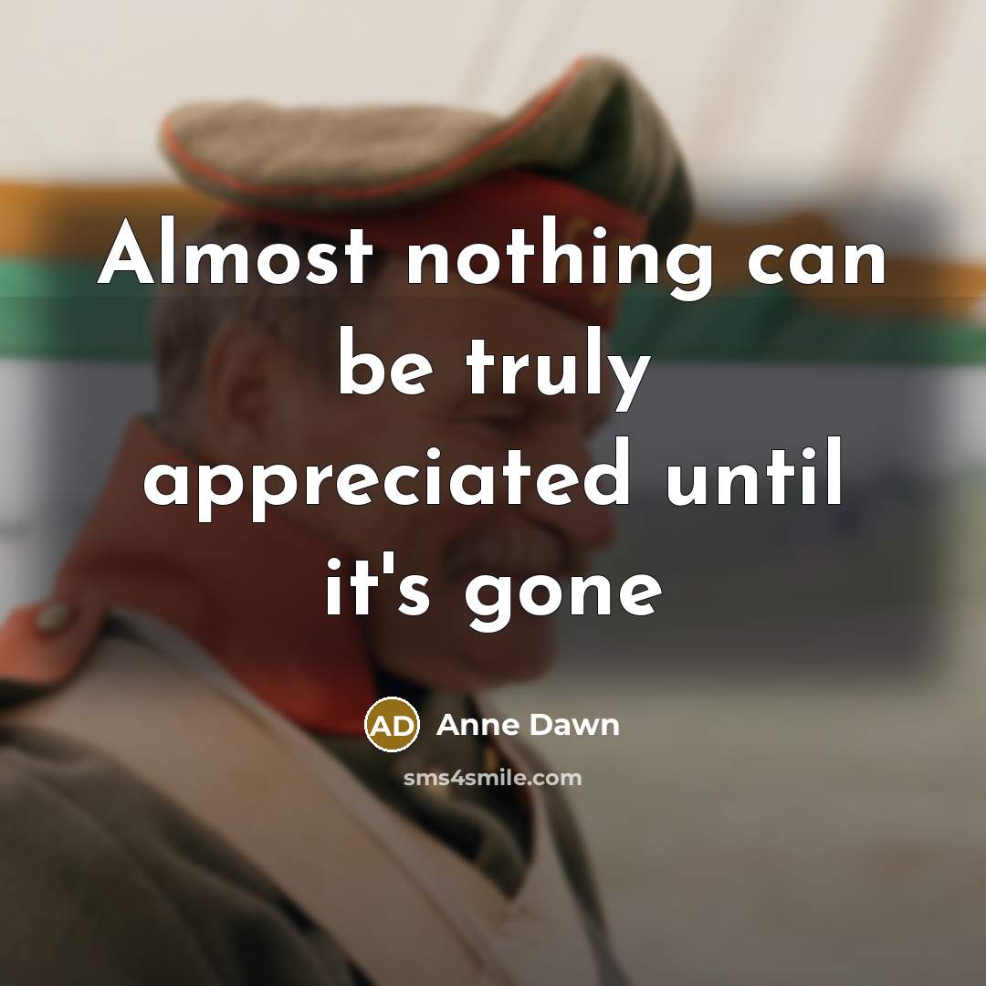 “Almost nothing can be truly appreciated until it's gone…” quote by Anne Dawn