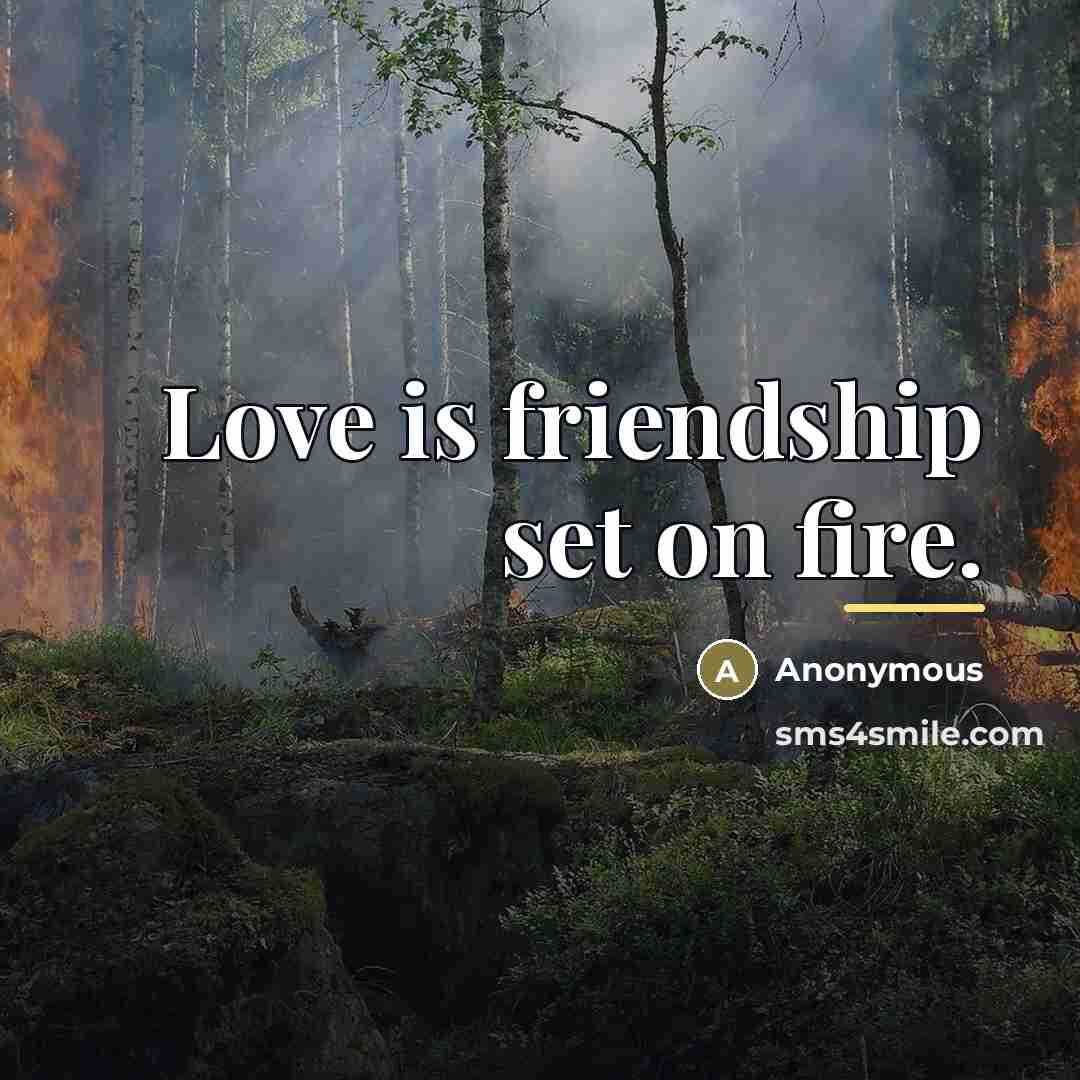“Love is friendship set on fire.…” quote by Anonymous