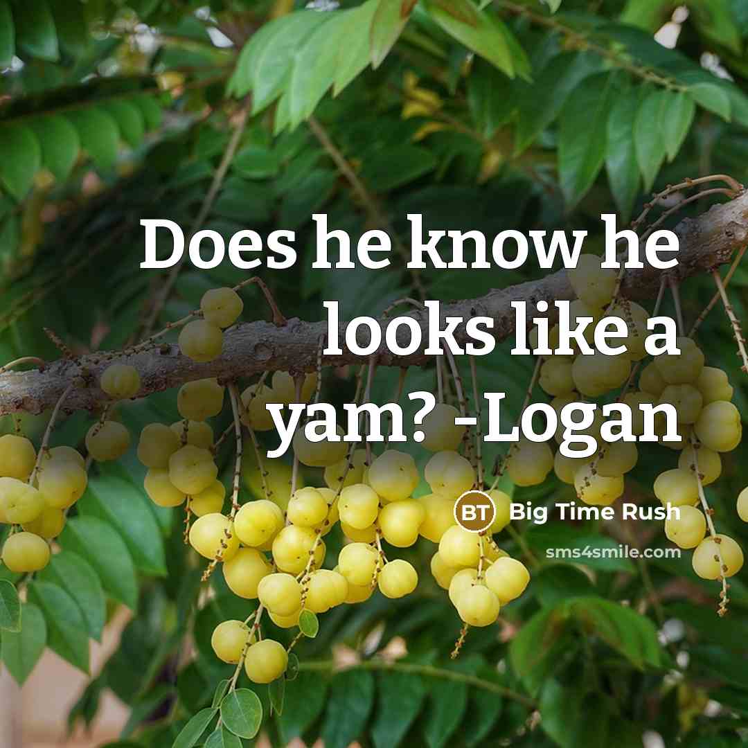 “Does he know he looks like a yam? -Logan…” quote by Big Time Rush