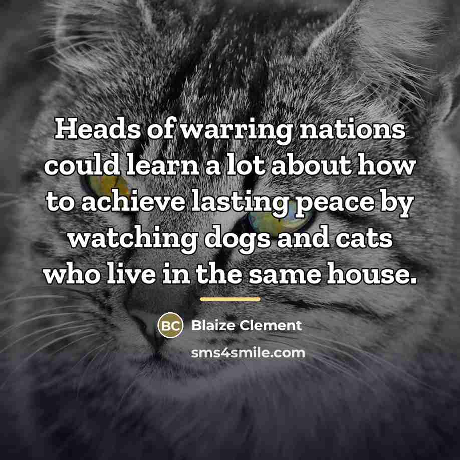 “Heads of warring nations could learn a lot about how…” quote by Blaize Clement