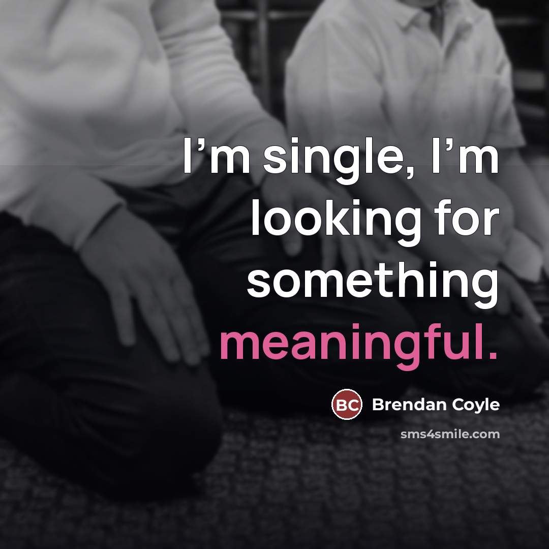 “I'm single, I'm looking for something meaningful.…” quote by Brendan Coyle