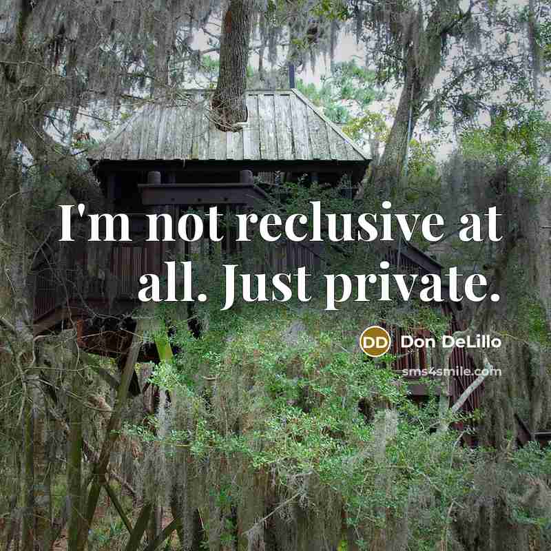 “I'm not reclusive at all. Just private.…” quote by Don DeLillo