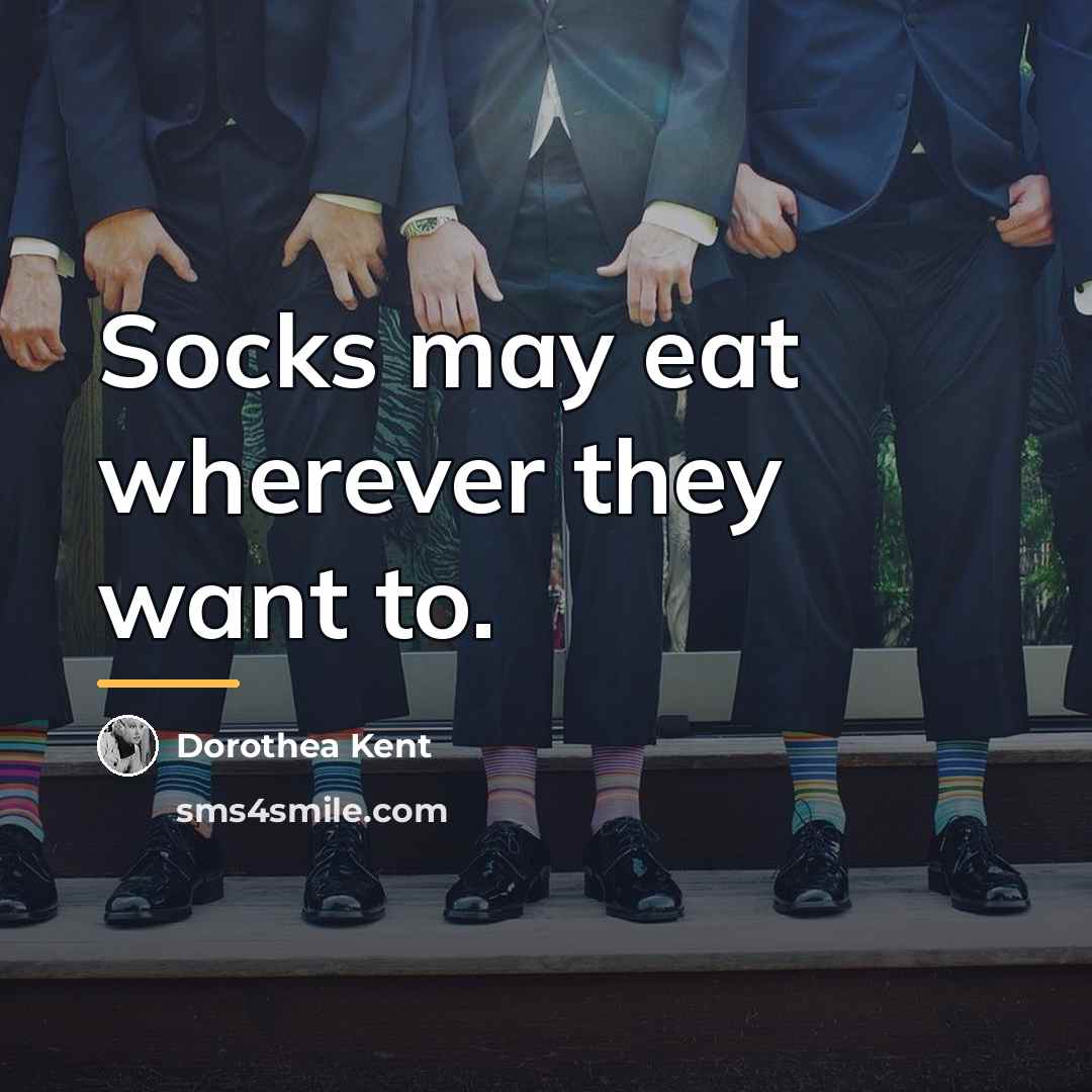 “Socks may eat wherever they want to.…” quote by Anonymous