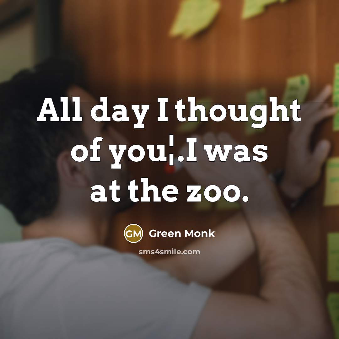 “All day I thought of you¦.I was at the zoo.…” quote by Green Monk