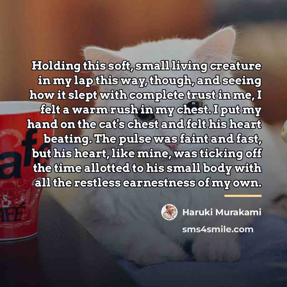 “Holding this soft, small living creature in my lap this…” quote by Haruki Murakami