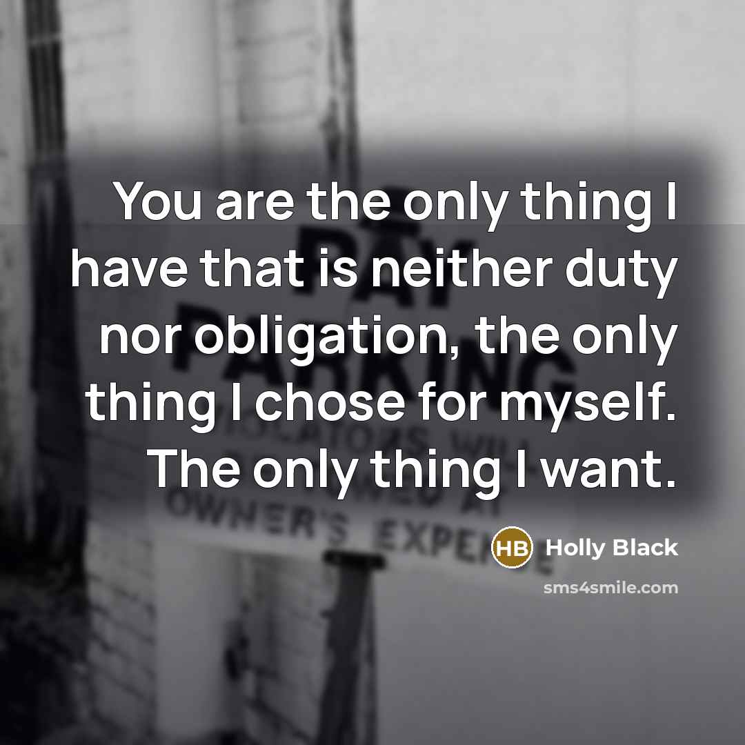 “You are the only thing I have that is neither…” quote by Holly Black