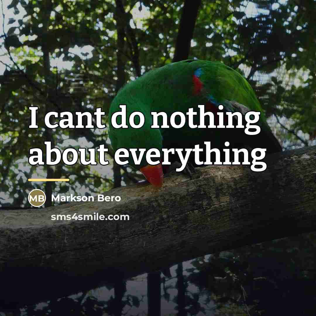 “I cant do nothing about everything…” quote by Markson Bero