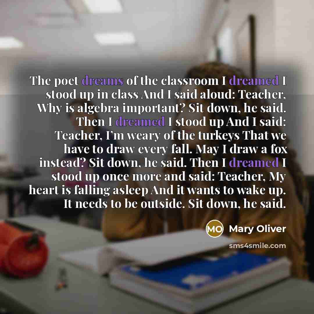 “The poet dreams of the classroom I dreamed I stood…” quote by Mary Oliver
