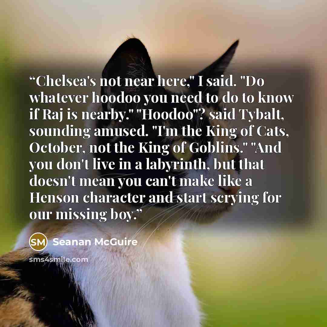 “Chelsea's not near here," I said. "Do whatever hoodoo you need to do to know if Raj is nearby." "Hoodoo"? said Tybalt, sounding amused. "I'm the King of Cats, October, not the King of Goblins." "And you don't live in a labyrinth, but that doesn't mean you can't make like a Henson character and…” quote by Seanan McGuire