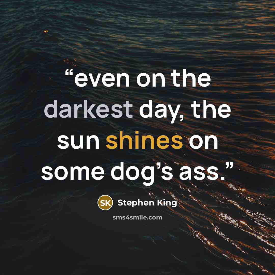 “even on the darkest day, the sun shines on some dog’s ass.” quote by Stephen King
