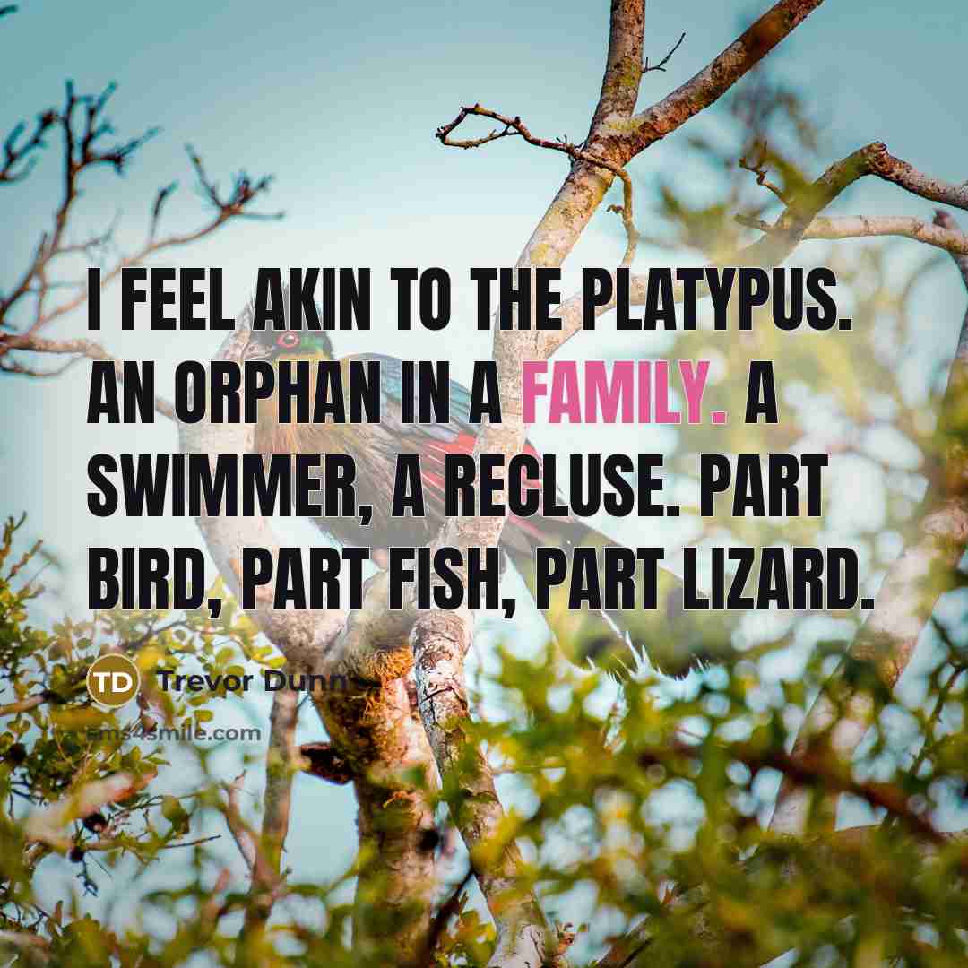 “I feel akin to the Platypus. An orphan in a…” quote by Trevor Dunn