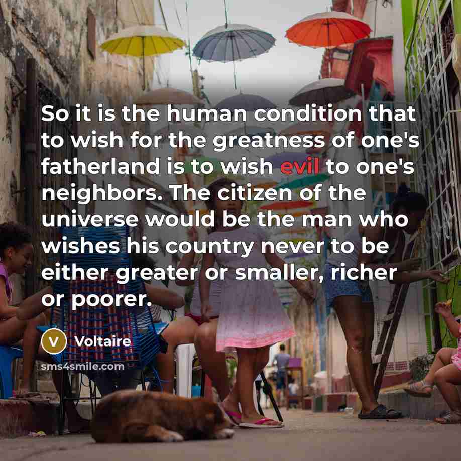 “So it is the human condition that to wish for…” quote by Voltaire