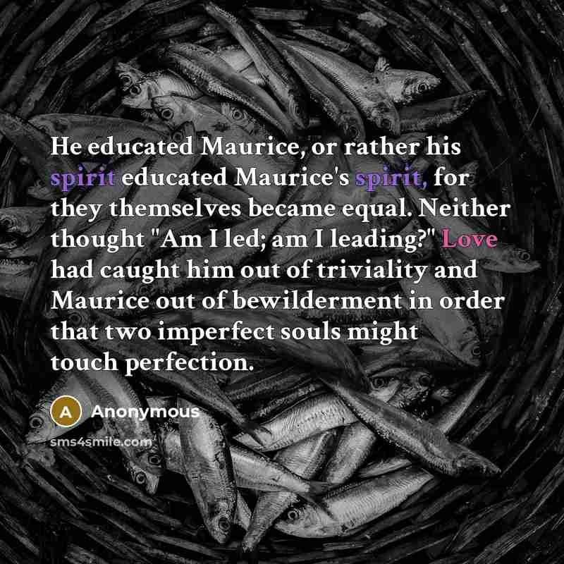 “He educated Maurice, or rather his spirit educated Maurice's spirit,…” quote by Anonymous