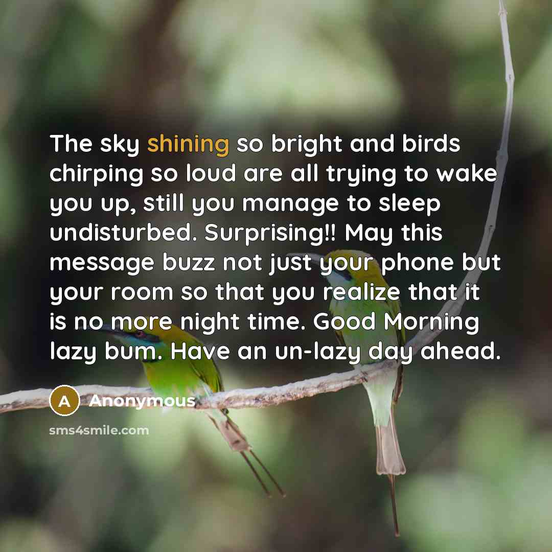 “The sky shining so bright and birds chirping so loud are all trying to wake you up, still you manage to sleep undisturbed. Surprising!! May this message buzz not just your phone but your room so that you realize that it is no more night time. Good Morning lazy bum. Have an un-lazy day ahead.” quote by Anonymous