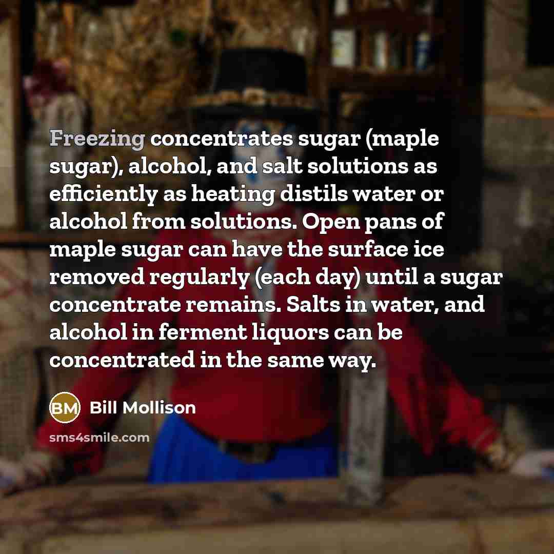 “Freezing concentrates sugar (maple sugar), alcohol, and salt solutions as…” quote by Bill Mollison