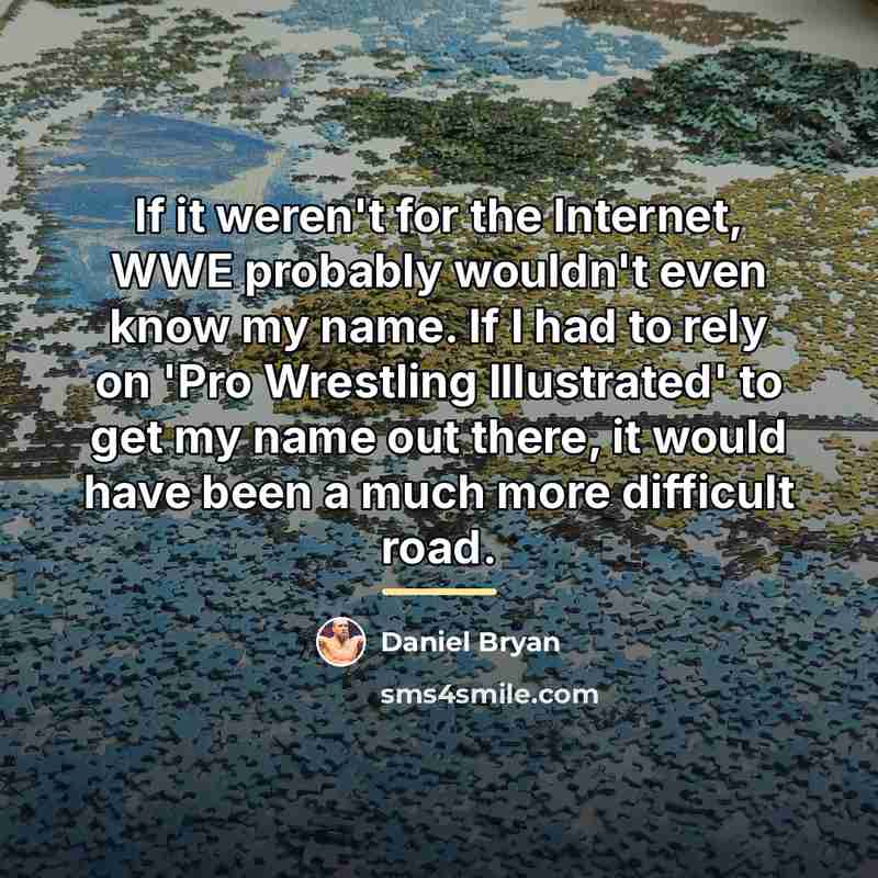 “If it weren't for the Internet, WWE probably wouldn't even…” quote by Daniel Bryan