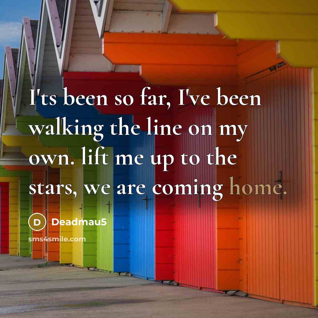 “I'ts been so far, I've been walking the line on…” quote by Deadmau5