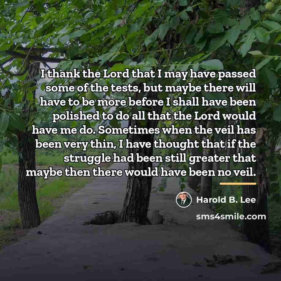 “I thank the Lord that I may have passed some…” quote by Harold B. Lee