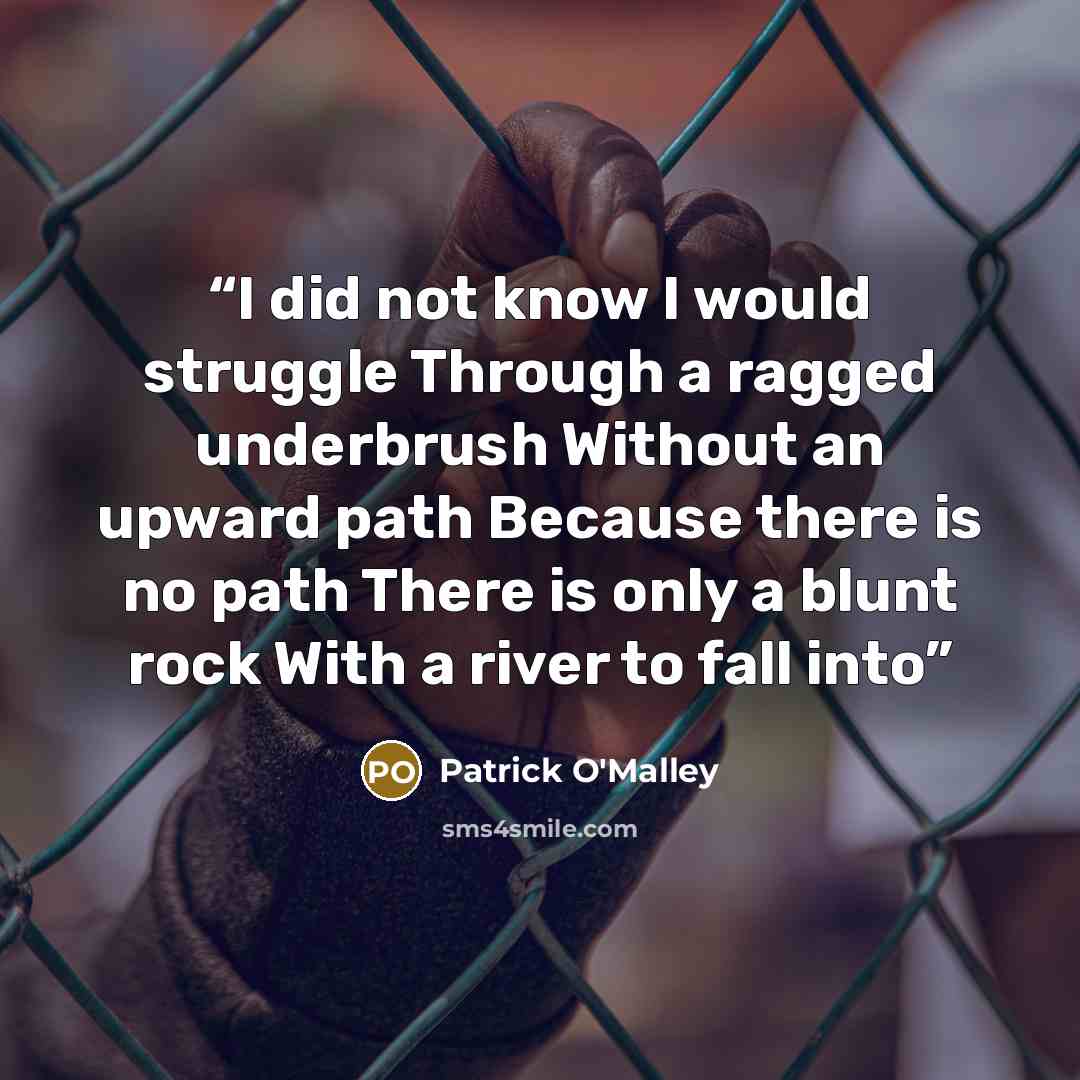 “I did not know I would struggle Through a ragged underbrush Without an upward path Because there is no path There is only a blunt rock With a river to fall into” quote by Patrick O'Malley