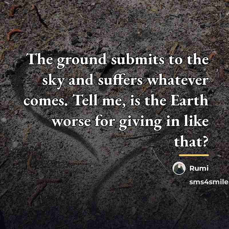 “The ground submits to the sky and suffers whatever comes.…” quote by Rumi