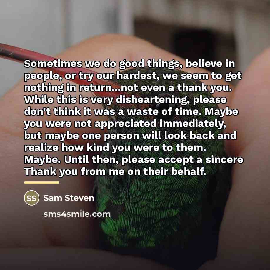 “Sometimes we do good things, believe in people, or try…” quote by Sam Steven