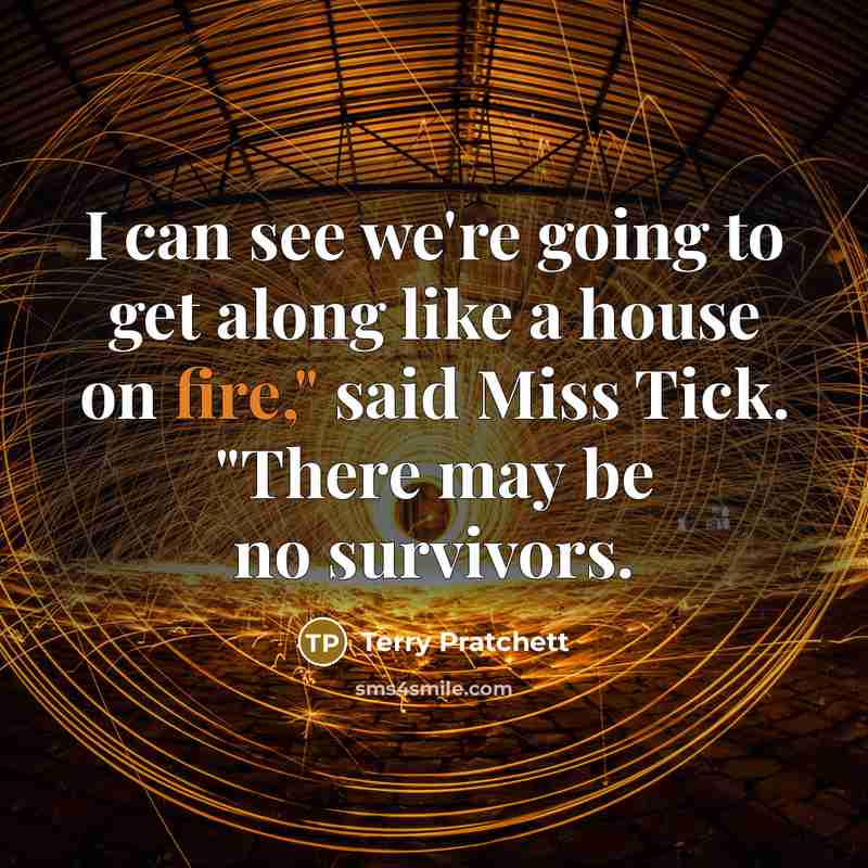 “I can see we're going to get along like a…” quote by Terry Pratchett