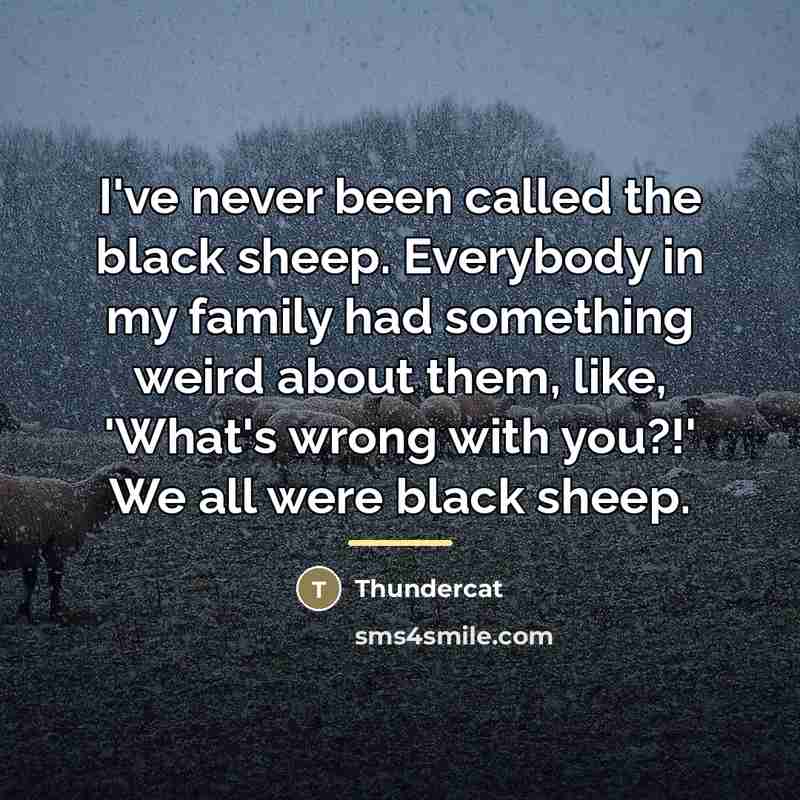 “I've never been called the black sheep. Everybody in my…” quote by Thundercat