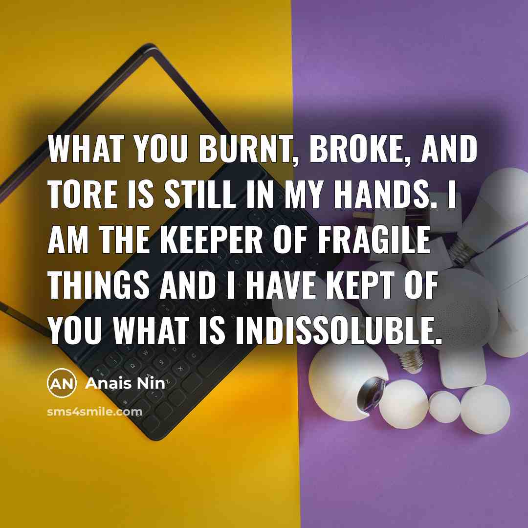 “What you burnt, broke, and tore is still in my…” quote by Anais Nin