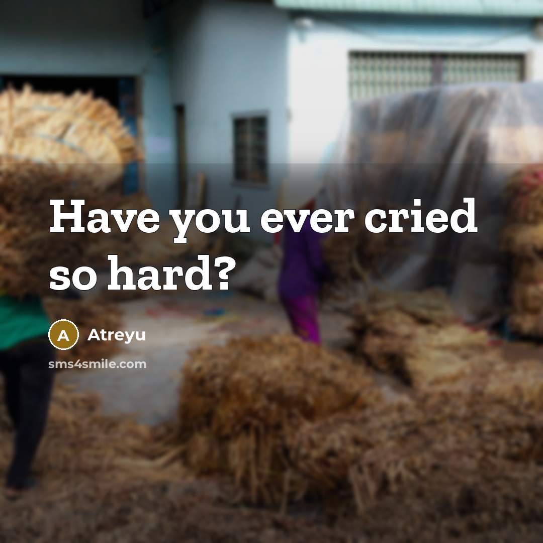 “Have you ever cried so hard?…” quote by Atreyu