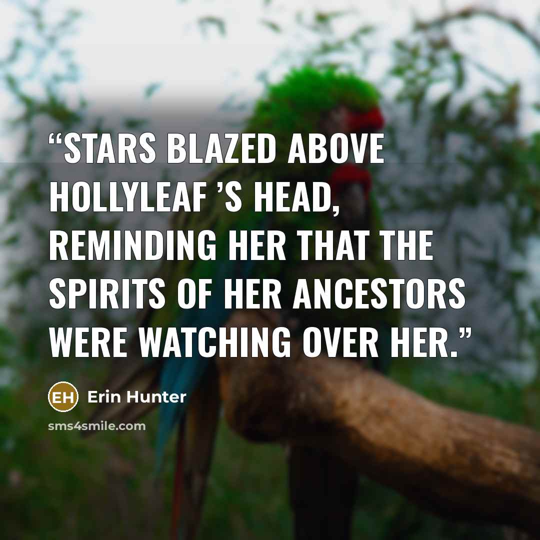 “Stars blazed above Hollyleaf ’s head, reminding her that the spirits of her ancestors were watching over her.” quote by Erin Hunter