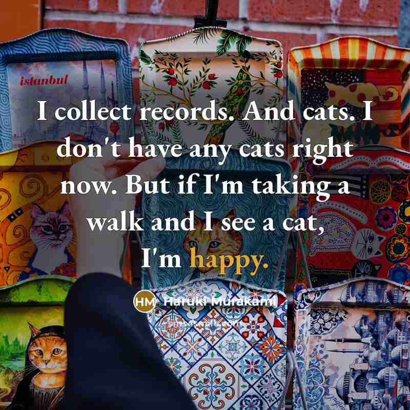 “I collect records. And cats. I don't have any cats…” quote by Haruki Murakami