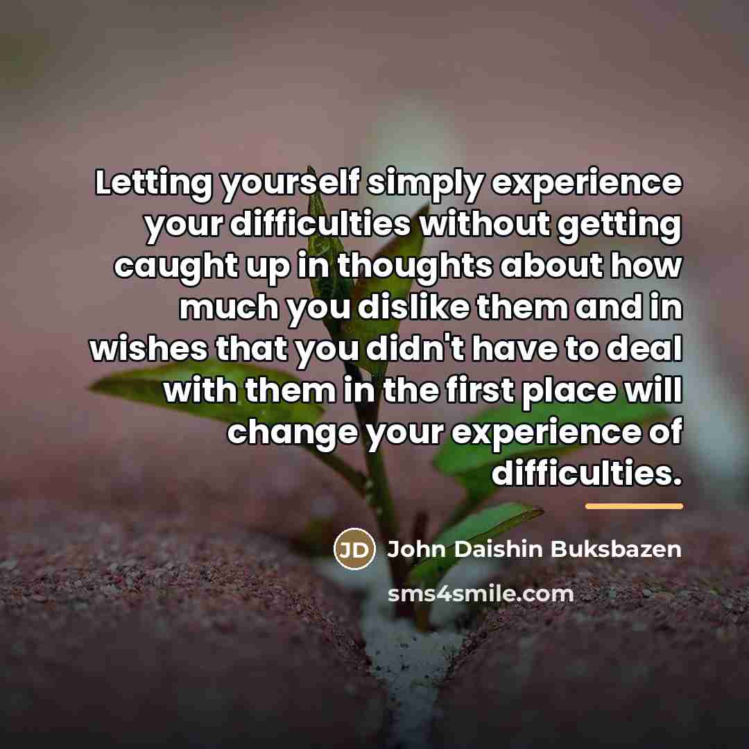 “Letting yourself simply experience your difficulties without getting caught up…” quote by John Daishin Buksbazen