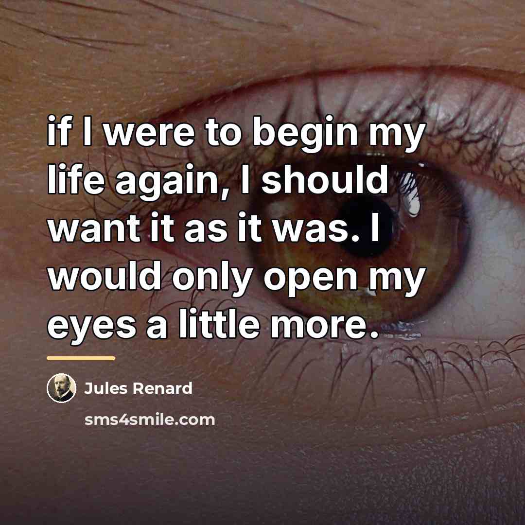 “if I were to begin my life again, I should…” quote by Jules Renard
