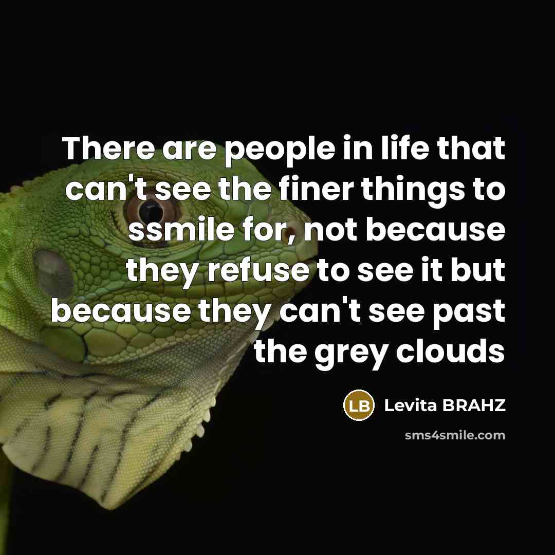 “There are people in life that can't see the finer things to ssmile for, not because they refuse to see it but because they can't see past the grey clouds” quote by LEVITA BRAHZ