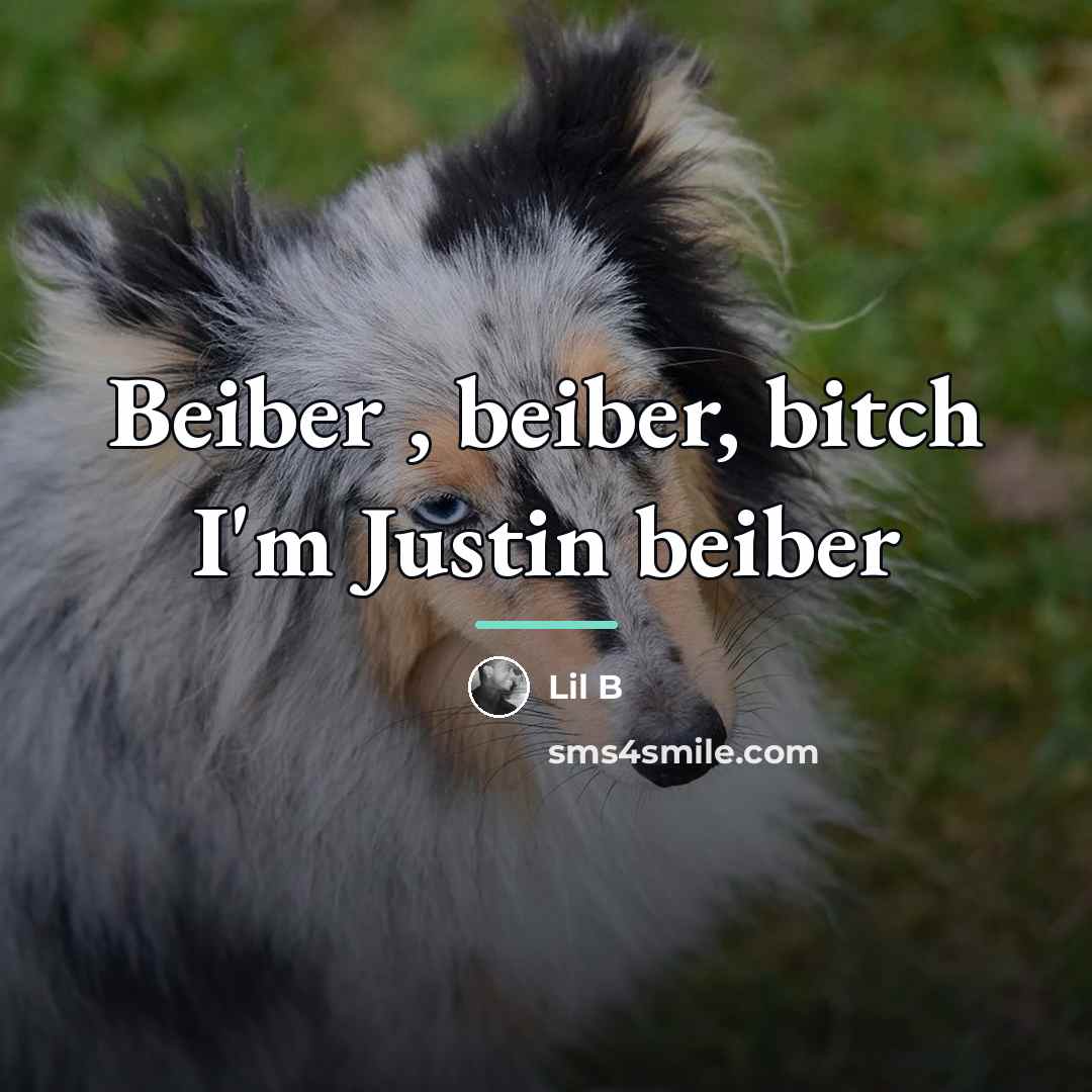 “Beiber , beiber, bitch I'm Justin beiber…” quote by Lil B