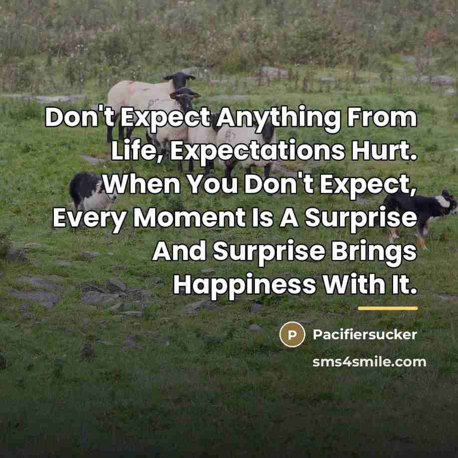 “Don't Expect Anything From Life, Expectations Hurt. When You Don't…” quote by Pacifiersucker