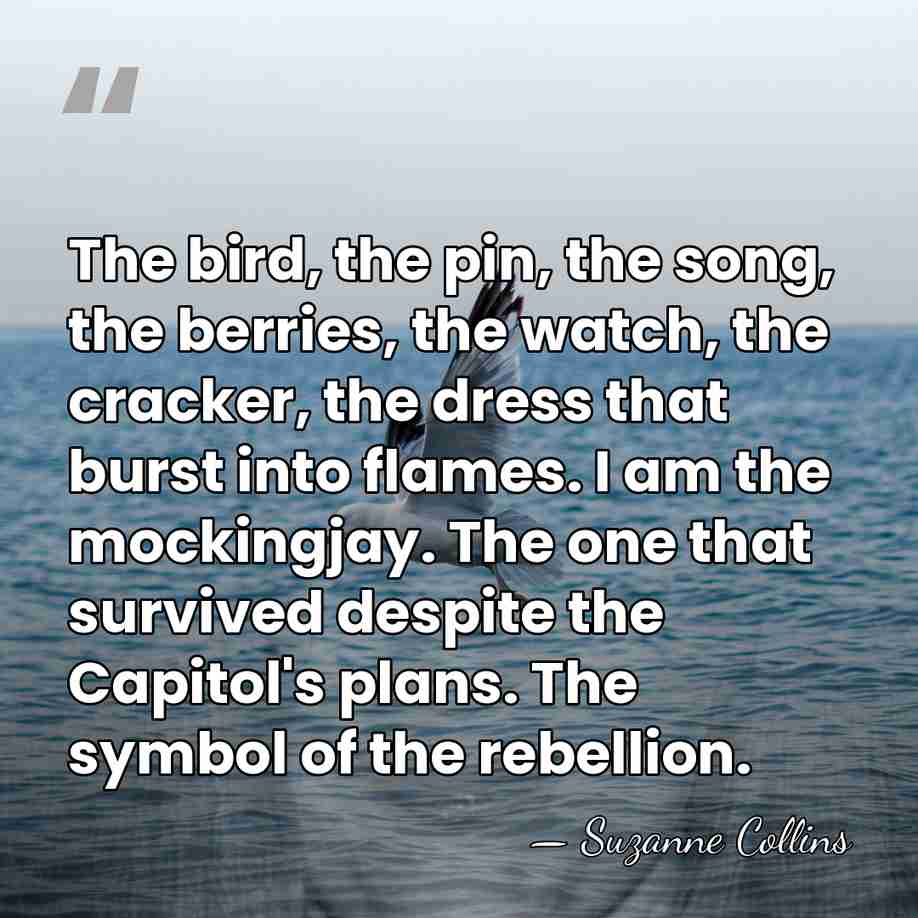 The bird, the pin, the song, the berries, the watch, the cracker,&hellip; - Suzanne Collins